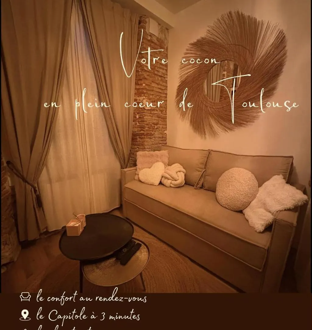 Appartement Cosy En Hypercentre - Parking Toulouse 0*,  France